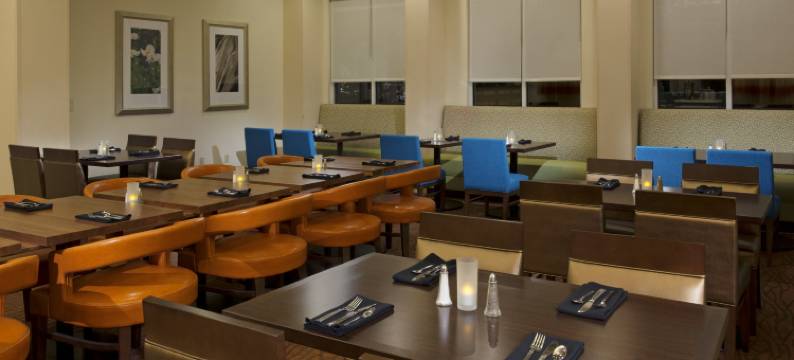 盖恩斯维尔希尔顿花园酒店(Hilton Garden Inn Gainesville)图片