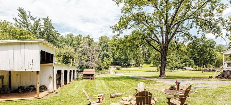 带围栏的16英亩家庭友好型农舍，配有步道(Family Friendly Farmhouse on FENCED 16 Acres with Trails)图片