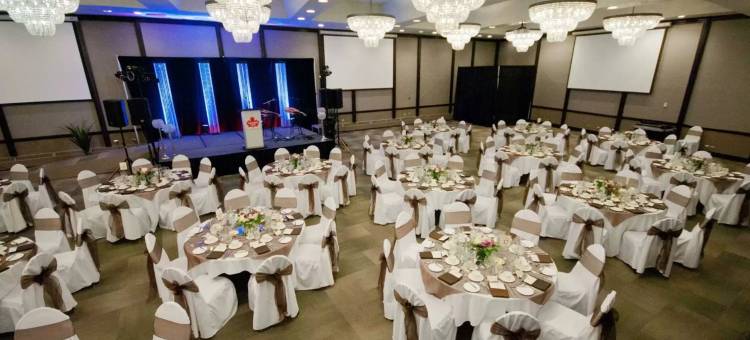 温尼伯市中心丽笙酒店(Radisson Hotel Winnipeg Downtown)图片