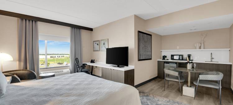 多伦多布兰普顿希尔顿花园旅馆(Hilton Garden Inn Toronto/Brampton)图片