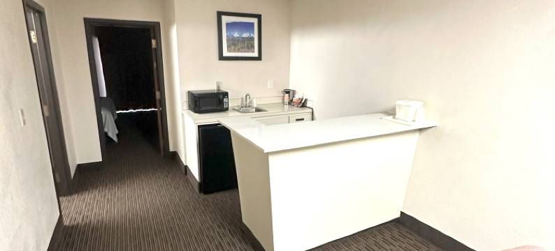 凯艺套房酒店(Wyndham Garden Salina Conference Center)图片