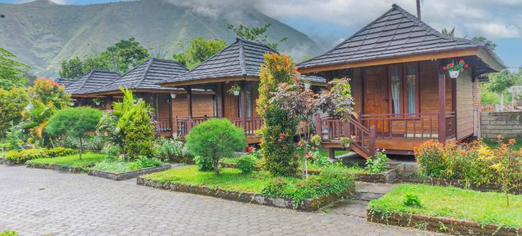 Puncak Rinjani旅馆(Puncak Rinjani Lodge)图片