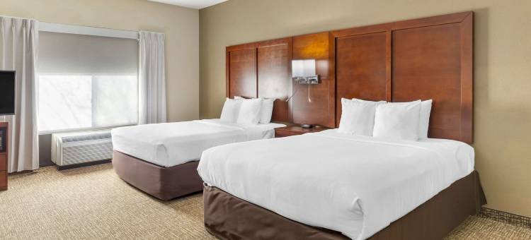 威尔逊凯-I-95富套房酒店(Comfort Suites Wilson - I - 95)图片