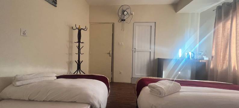 脚踏实地酒店(Hotel down to Earth)图片