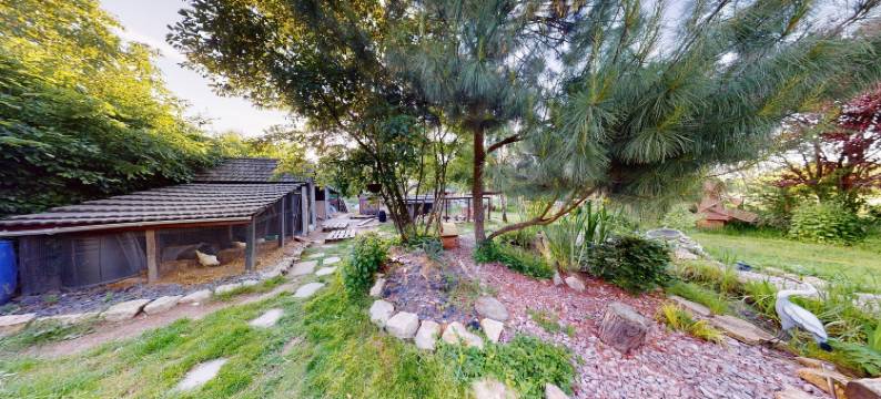 柳树的呼吸(Le Souffle du Saule)图片