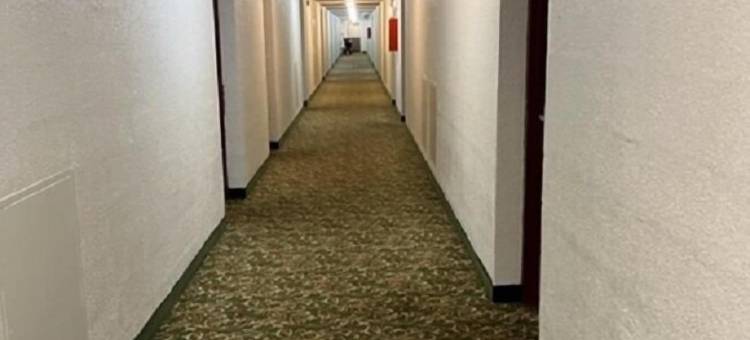 华丽旅馆和套房(Posh Inn & Suites)图片