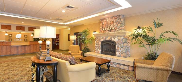 麦克明维尔酒乡舒适套房酒店(Comfort Inn & Suites McMinnville Wine Country)图片