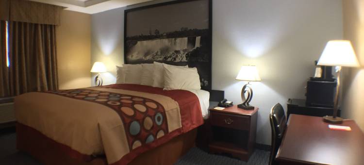 法布里奇威廉姆斯维尔布法罗机场快捷酒店(FairBridge Inn Express Buffalo Airport Williamsville)图片