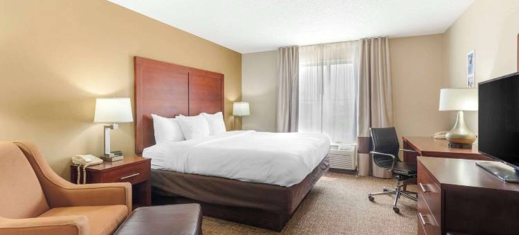 舒适套房酒店(Comfort Inn & Suites)图片