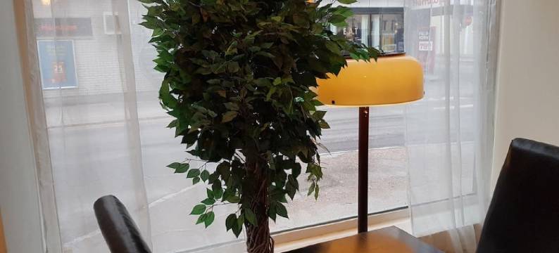 Hotell Skinnargården图片