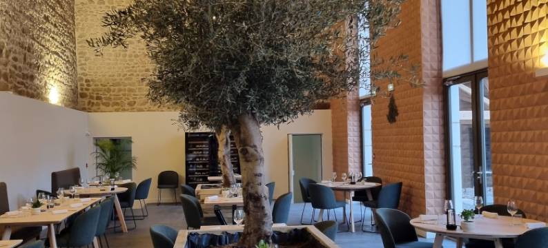 维拉斯城堡(Château de Villars)图片