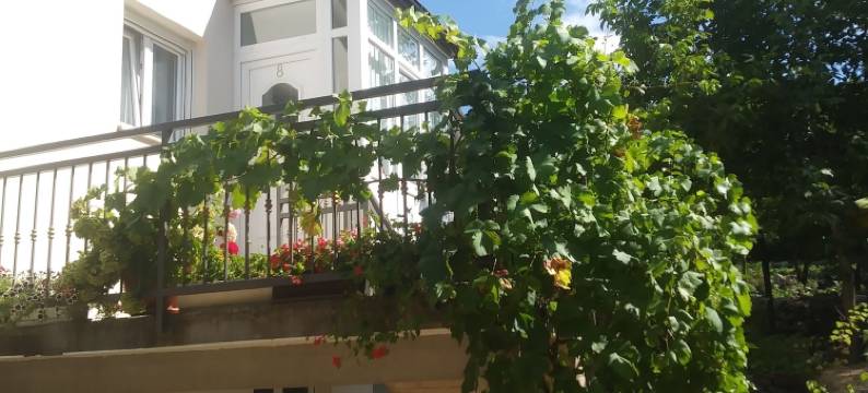 假日之家酒店(Holiday House)图片