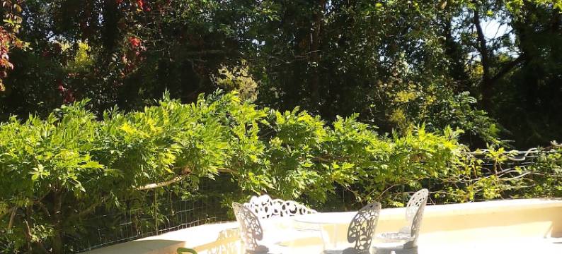 心动庄园B&B(Le Manoir du Coeur Volant B&B)图片