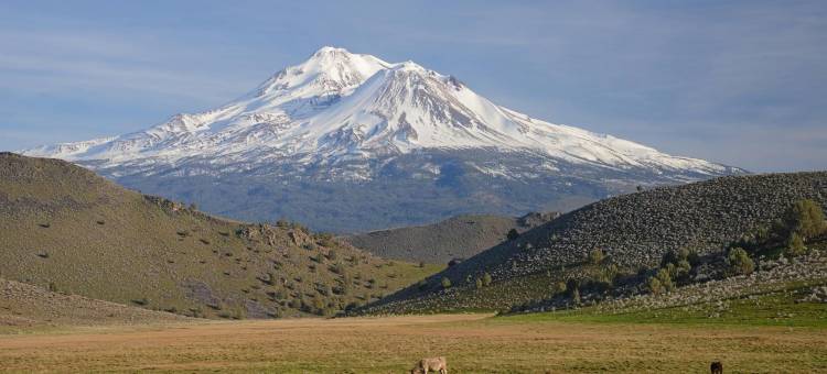 夏斯塔山旅馆(Inn at Mount Shasta)图片