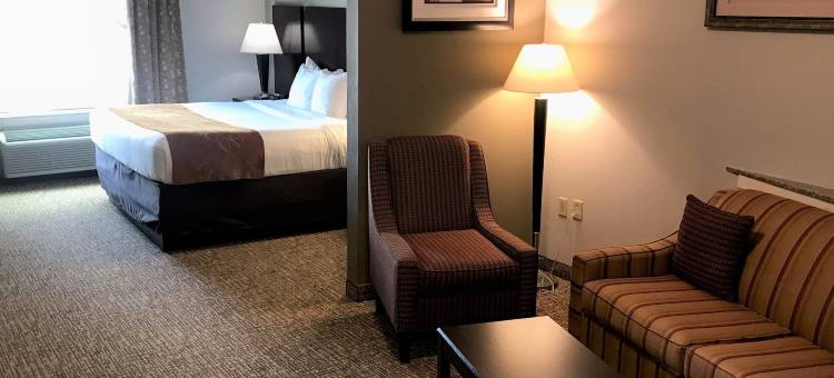 舒适套房酒店(Comfort Suites Bay City)图片
