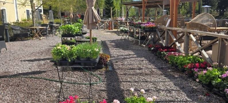 Vänerport的Norrqvarn酒店及度假村(Norrqvarn Hotel & Resort by Vänerport)图片