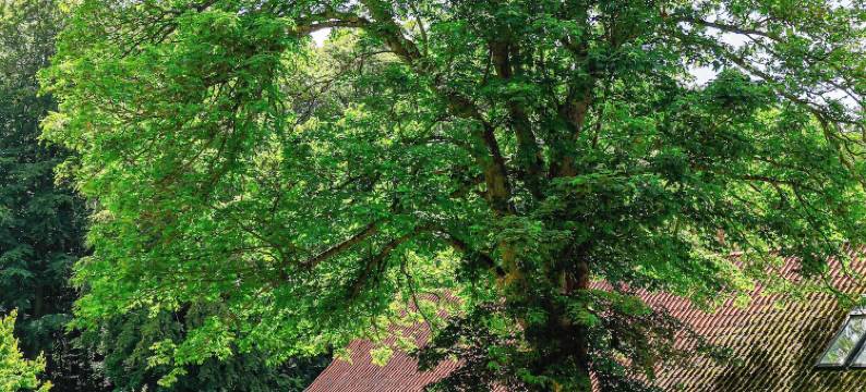 伦兹高德浴室酒店(Lundsgaard Gods Badehotel)图片