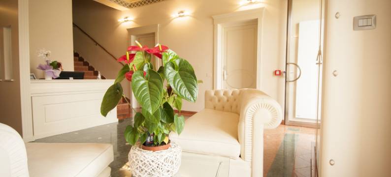 马拉内罗别墅酒店(Hotel Villa Maranello)图片