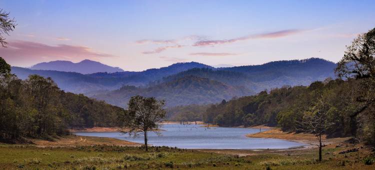 西卡迪莱蒙树酒店Prima钥匙(Keys Prima by Lemon Tree Hotels, Thekkady)图片