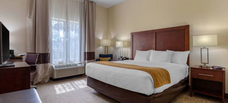 卡姆登舒适酒店及套房(Comfort Inn & Suites)图片