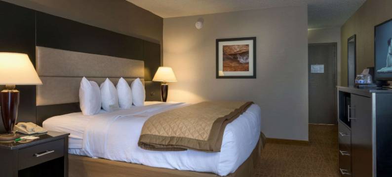 博伊西温德姆华美达酒店(Ramada by Wyndham Boise)图片