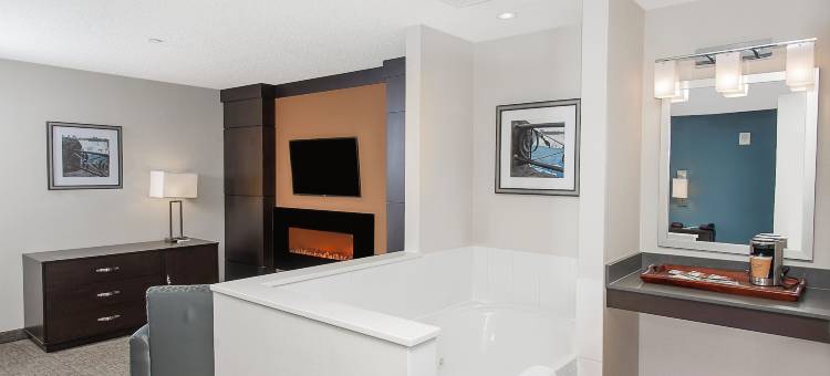 尼亚加拉瀑布/瀑布景观温德姆花园酒店(Wyndham Garden Niagara Falls Fallsview)图片