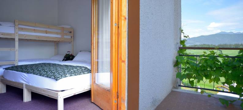 小熊布鲁诺(Piccolo Orso Bruno)图片