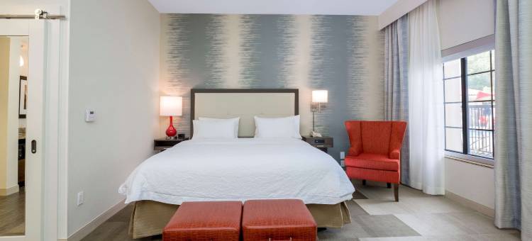 欢朋酒店-圣塔芭芭拉/戈莱塔(Hampton Inn by Hilton Santa Barbara/Goleta)图片