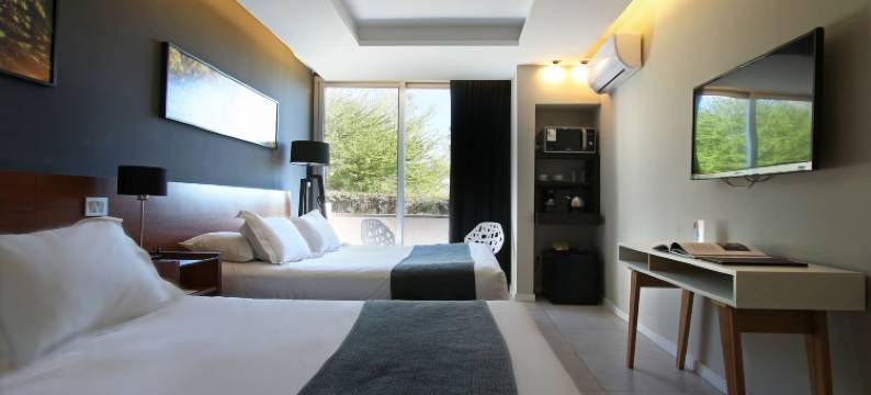 德尔山松树林度假村及套房(Pinares del Cerro Resort & Suites)图片