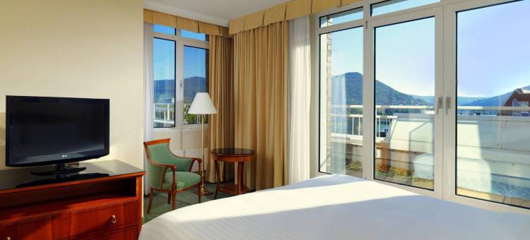 海德堡万豪酒店(Heidelberg Marriott Hotel)图片