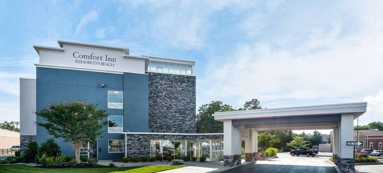 舒适酒店 - 雷赫波夫(Comfort Inn - Rehoboth)图片
