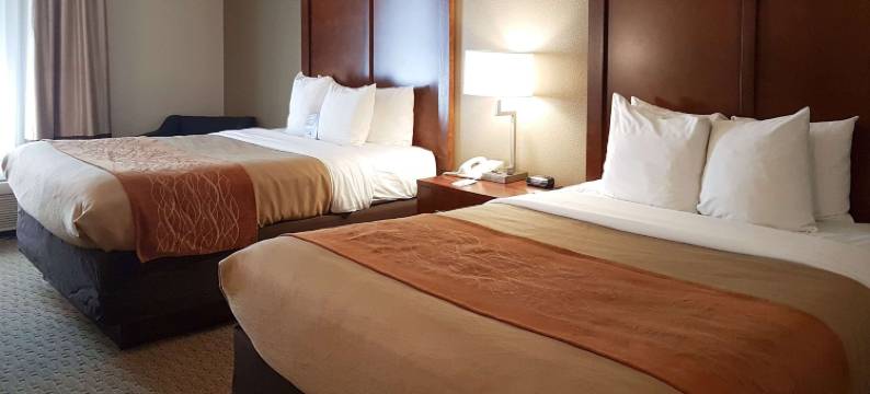 第51大道凤凰城10号州际公路西舒适酒店(Comfort Inn I-10 West at 51st Ave)图片