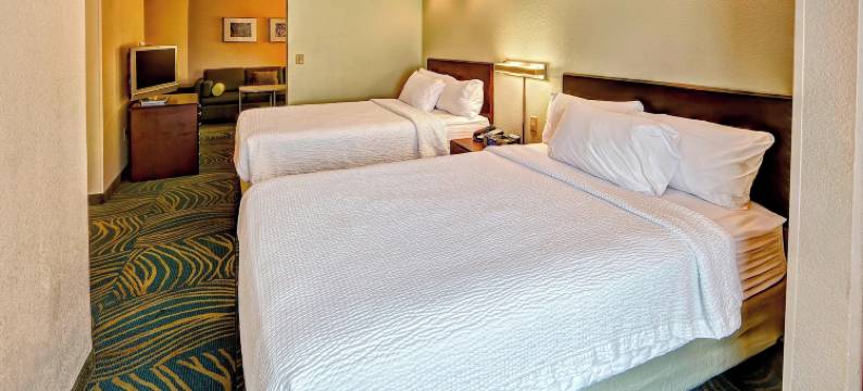 诺福克奥多明尼昂大学 SpringHill Suites 酒店(SpringHill Suites Marriott Norfolk Old Dominion University)图片