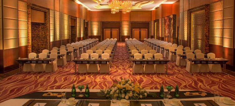 印多尔丽笙酒店(Radisson Blu Hotel, Indore)图片