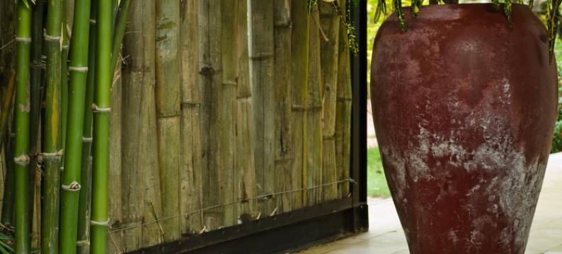 马德望度假村(Battambang Resort)图片