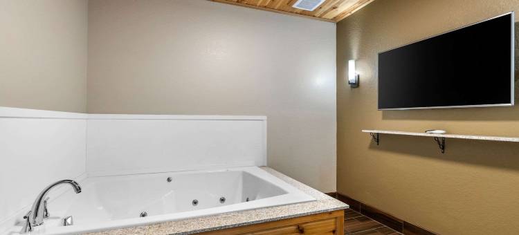 锡达拉皮兹CID东爱荷华机场舒适套房酒店(Comfort Inn & Suites Cedar Rapids Cid Eastern Iowa Airport)图片