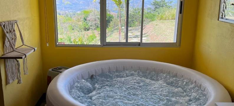 巴杜旅馆(Badu Lodge)图片