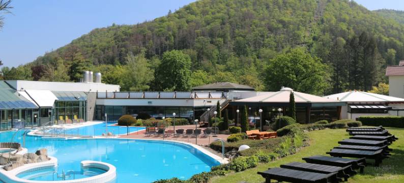 坦尼霍福酒店(Hotel Tannenhof)图片