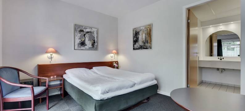 瓦尔德酒店(Hotel Varde)图片