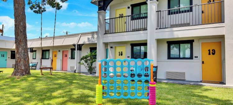 麦科伊酒店 - 艺术，酒精，游泳社会(Hotel McCoy - Art, Libations, Pool Society)图片