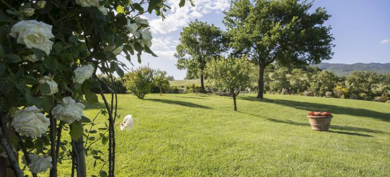 伊尔尼多加比亚诺旅馆(Il Nido di Gabbiano)图片