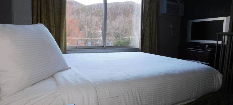加特林堡市中心林荫道戴斯套房酒店(Days Inn & Suites by Wyndham Downtown Gatlinburg Parkway)图片