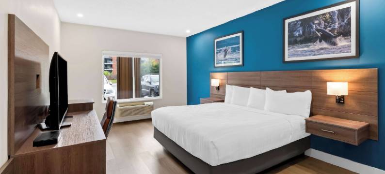 Hotel Feng, BW Signature Collection图片