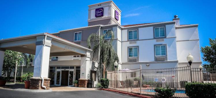 奥卡拉/贝尔维尤舒眠套房酒店(Sleep Inn & Suites Ocala)图片