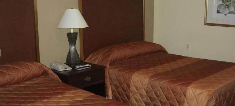 星尘汽车旅馆(Stardust Motel)图片