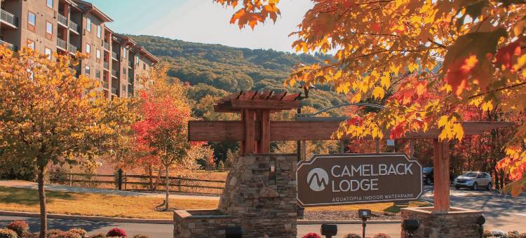 凯莫贝克旅馆及水族馆室内水上乐园(Camelback Lodge & Aquatopia Indoor Waterpark)图片