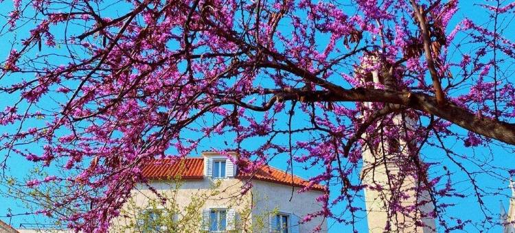 班杰明酒店(Benjamin Hotel)图片