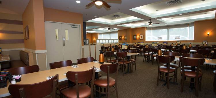 尼亚加拉瀑布/瀑布景观华美达酒店(Ramada by Wyndham Niagara Falls/Fallsview)图片