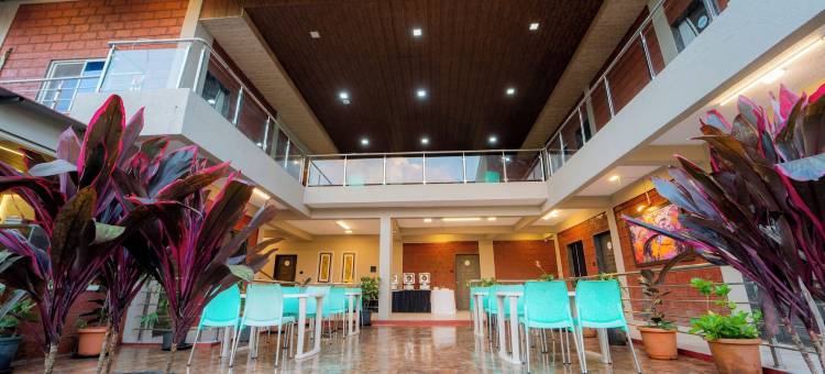 Treebo 冰山(Treebo Iceberg)图片