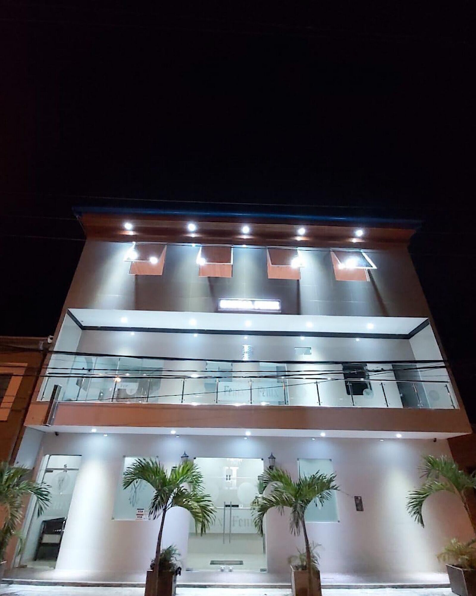 Hotel Fenix Over view